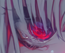 avatar_KONMONLON